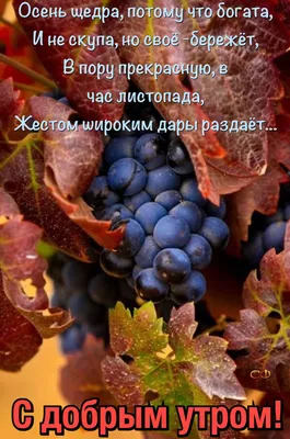 Пин от пользователя Светлана на доске Ну, здравствуй, Осень... | Доброе  утро, Осенние картинки, Осень картинки