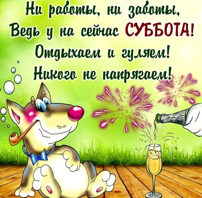 Доброе утро Суббота прикольные и смешные картинки (48 картинок) - ФУДИ картинки