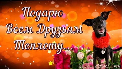 🌹Доброго Дня Отличного Настроения! Открытки Добрый День! - YouTube картинки