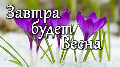 Здравствуй, Весна! Поздравление с приходом Весны. Музыка Сергея Чекалина -  YouTube картинки