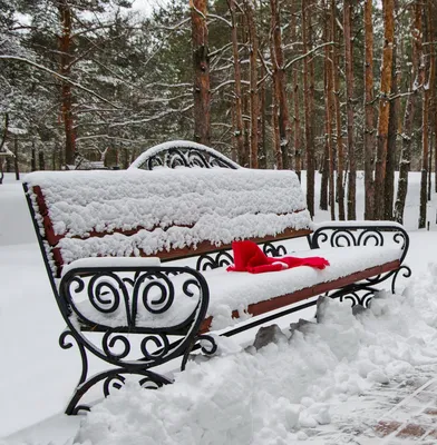 А завтра весна.... Фотограф Валерий Наумов картинки