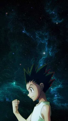 Скачать обои ID: 419359 / Anime Hunter x Hunter Phone Wallpaper, Gon Freecss, Killua Zoldyck, 828x1792 скачать бесплатно картинки