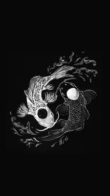 Koi Yin Yang Wallpapers - Лучшие бесплатные обои Koi Yin Yang картинки
