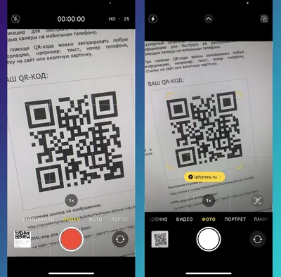 На некоторых iPhone не работает сканер QR-кодов. 8 способов решить проблему картинки