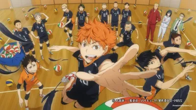 Обзор аниме Haikyuu!! («Волейбол!!») | AwesomeReviews.ru картинки