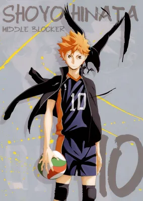 Фото Hinata Shouyou / Хината Шое из аниме Haikyuu! / Волейбол, middle  blocker, art by Haruichi Furudate картинки