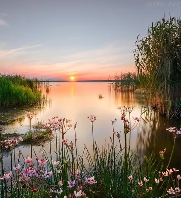 Отличного настроения природа - фото и картинки: 61 штук картинки
