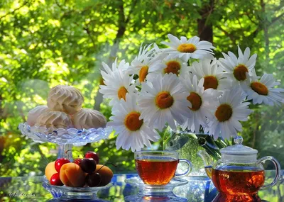 Отличного настроения природа - фото и картинки: 61 штук картинки