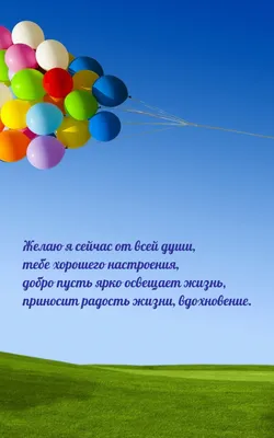 Картинки для поднятия настроения прикольные женщинам (368 шт.) картинки