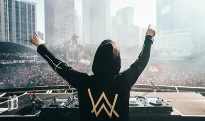 Обои alan walker, музыкант, известный диджей обои на рабочий стол, hd изображение, картинка, фон, d226a9 | обоикружка картинки