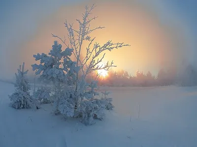 Фото зимы красивые | Winter landscape, Winter scenery, Winter wonderland  background картинки