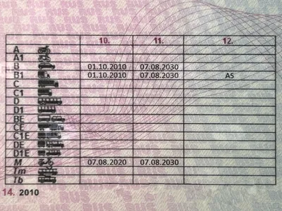 Подлежащие призыву при частичной мобилизации категории официально  разъяснили: Общество: Россия: Lenta.ru картинки