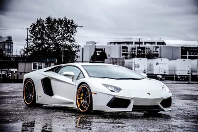 Обои ламборгини, aventador, wheels, white, lp700-4, Lamborghini, black,  авентадор на рабочий стол картинки