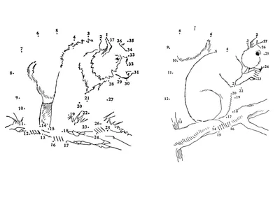Рисование по точкам для детей - Tilli-Willi.ru картинки