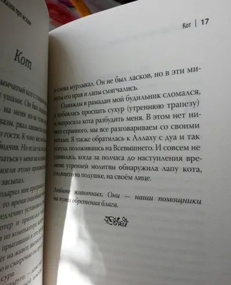 Иллюстрация 9 из 9 для 40 рассказов про ислам - Галина Бабич | Лабиринт -  книги. Источник: Daryal картинки