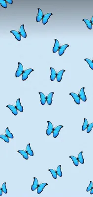 Бабочка | Butterfly wallpaper, Blue butterfly wallpaper, Cute patterns  wallpaper картинки
