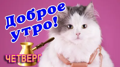 ЧЕТВЕРГ! 🌞 ДОБРОГО УТРА / ДОБРОЕ УТРО / С ДОБРЫМ УТРОМ / ДОБРОГО УТРА  ЛЮБИМОЙ / ДОБРОЕ УТРО КАРТИНКИ - YouTube картинки