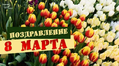 С ПРАЗДНИКОМ 8 МАРТА! Весенние цветы и красивое поздравление от всей души!  - YouTube картинки