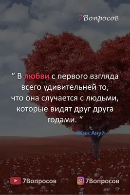 Лучшие идеи (780) доски «Картинки о любви» | вдохновляющие фразы,  вдохновляющие цитаты, мудрые цитаты картинки