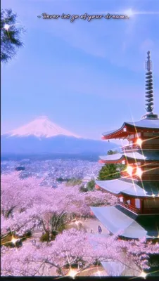 Aesthetic wallpapers Japan 🇯🇵❤️ | Обои, Япония, Художники картинки