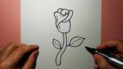 How to draw a ROSE easily and simply - YouTube картинки