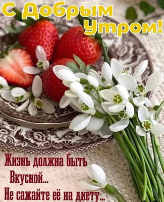 Идеи на тему «Цитаты про утро» (390) в 2023 г | цитаты про утро, доброе  утро, цитаты картинки