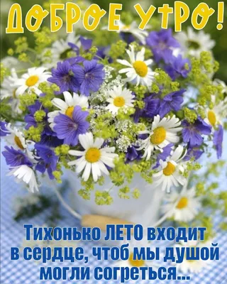 Идеи на тему «Цитаты про утро» (390) в 2023 г | цитаты про утро, доброе  утро, цитаты картинки