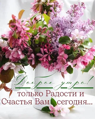 Идеи на тему «Цитаты про утро» (390) в 2023 г | цитаты про утро, доброе  утро, цитаты картинки