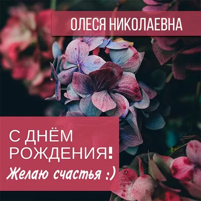 Открытки и прикольные картинки с днем рождения для Олеси, Олеськи и  Олесеньки картинки