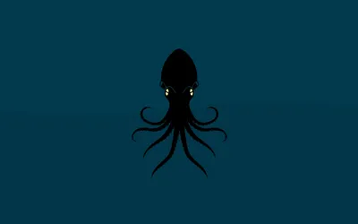 Обои осьминог, животное, octopus на рабочий стол картинки