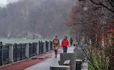 Синоптики пообещали первый снег в Москве в конце недели — РБК картинки