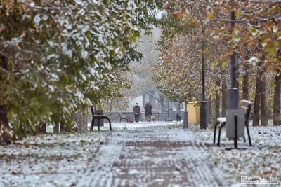 Первый снег в Москве. Дарья Антонова © ИА REGNUM - ИА REGNUM картинки