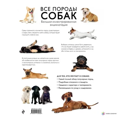 Все породы собак. Большая иллюстрированная энциклопедия, , ЭКСМО купить  книгу 978-5-04-113062-6 – Лавка Бабуин, Киев, Украина картинки