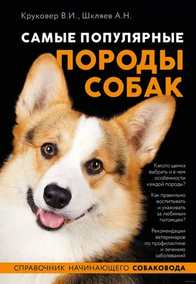 Самые популярные породы собак» Владимир Круковер, Андрей Шкляев - купить  книгу «Самые популярные породы собак» в Минске — Издательство Эксмо на OZ.by картинки