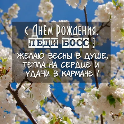 Поздравление с днем рождения начальнице с юмором – открытки, картинки,  стихи - Телеграф картинки