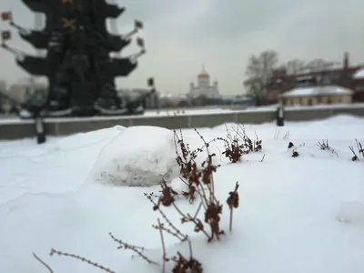 Доброе утро, зимнее бокe и снегопад им. св. Валентина картинки