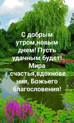 Доброе утро! Хорошего дня! - Трогательние открытки с добрым утром - Картинки  с добрым утром весенние с цветами Доброе утро! Хорош… | Доброе утро,  Открытки, Картинки картинки