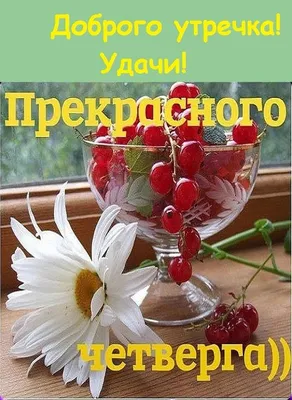 Пин от пользователя Елена на доске доброе утро | Доброе утро, Открытки,  Четверг картинки