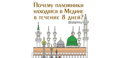 Почему паломники находятся в Медине в течение 8 дней? | islam.ru картинки