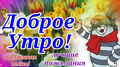 С Добрым Утром! Самое Красивое Пожелание Доброго Утра и Хорошего Дня! -  YouTube картинки