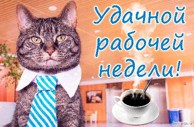 Удачной рабочей недели! (Анимация) картинки