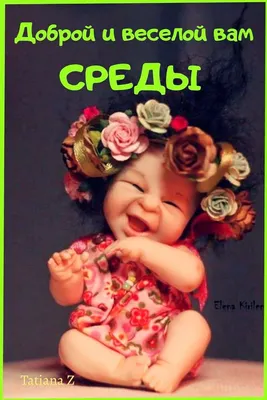 СРЕДА! 🧡🍒 💐🌞🦋 🍒🧡 УДАЧНОЙ И 💗 ДОБРОЙ СРЕДЫ! 💗 | Веселые картинки,  Поздравительные открытки, Доброе утро картинки