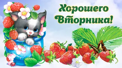 Классное пожелание хорошего вторника! Музыкальная открытка! - Скачать  бесплатно на otkritkiok.ru картинки