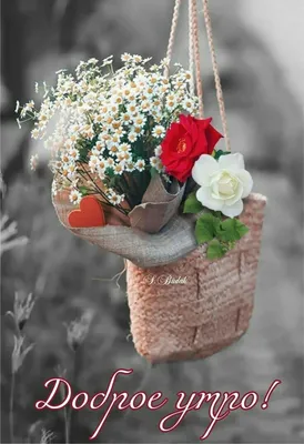 Pin by Lina on Доброе утро, вечер и день | Flower vase arrangements, Flower  pictures, Flower arrangements center pieces картинки