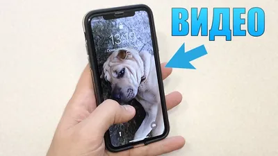 Ставим видео на экран блокировки iPhone! Скрытая функция iPhone!  Кастомизация iPhone! - YouTube картинки