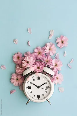 Alarm Clock And Cherry Blossom\ картинки