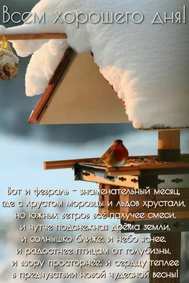 Идеи на тему «Скоро Весна...» (150) в 2023 г | весна, открытки, зимние  цитаты картинки