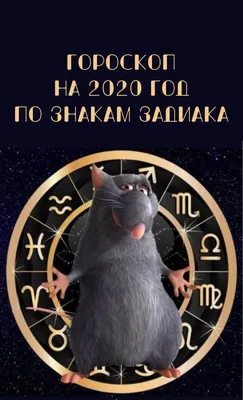 ГОРОСКОП НА 2020 ГОД | Zodiac signs, Zodiac, Diy and crafts картинки