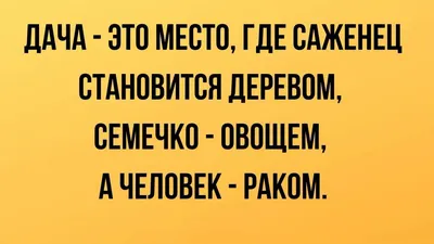 23 июля - День дачника: красивые открытки, поздравления - Стихи дачнику и  дачнице в день праздника картинки