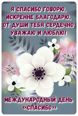 Международный день спасибо. Открытка спасибо. 11 января | Открытки,  Поздравительные открытки, Идеи подарков картинки